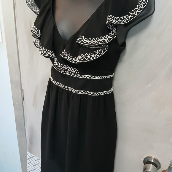 Emmelee Sheer Ruffle Dress - Picture 6 of 8